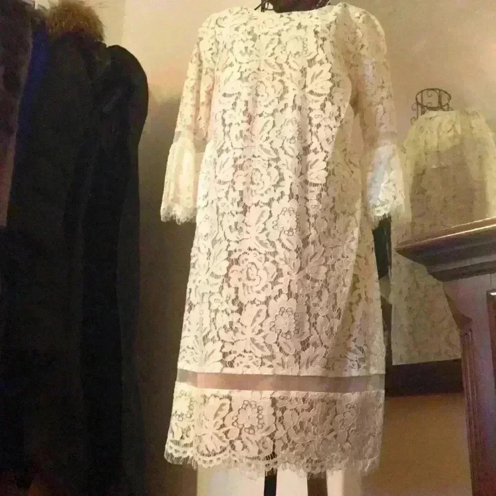 BCBGMaxazria Lace Evening Dress - Off White - Picture 8 of 12